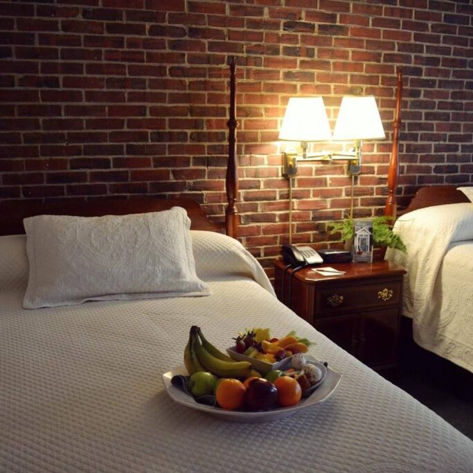 Lamies11-1024x683 Lamies11-1024x683